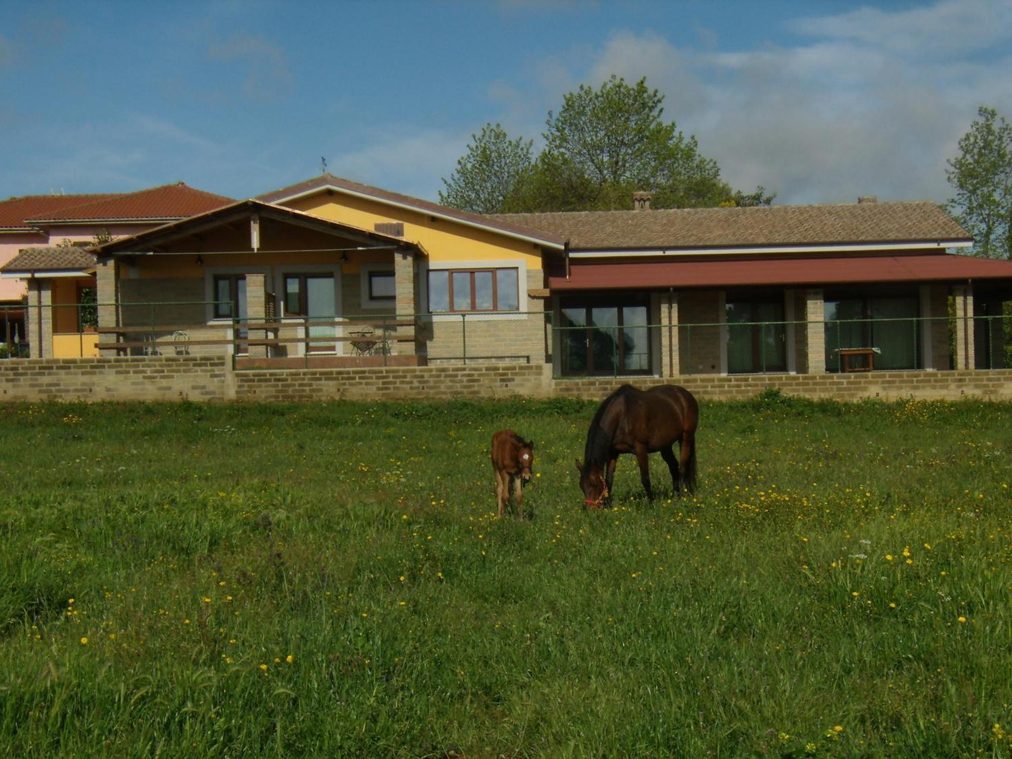 Agriturismo L.B.Stud Bracciano  Zewnętrze zdjęcie