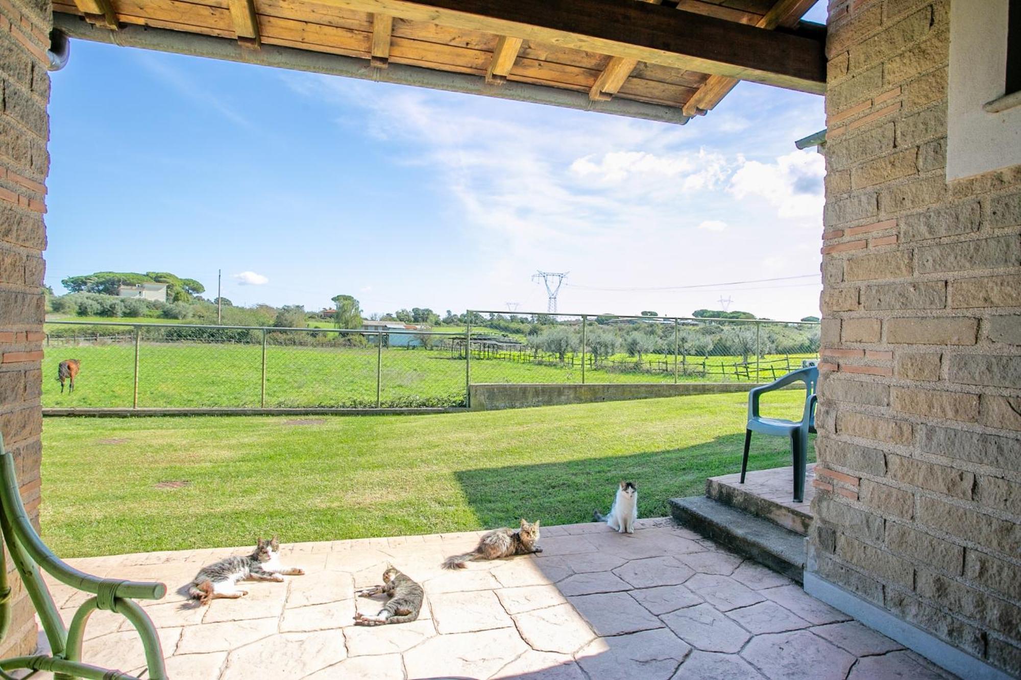 Agriturismo L.B.Stud Bracciano  Zewnętrze zdjęcie