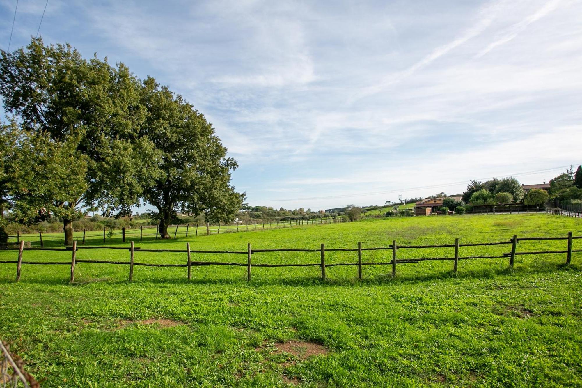 Agriturismo L.B.Stud Bracciano  Zewnętrze zdjęcie
