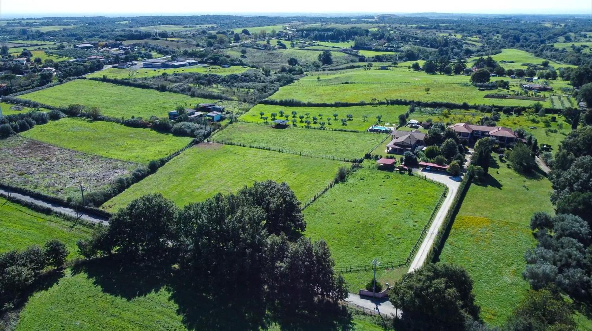Agriturismo L.B.Stud Bracciano  Zewnętrze zdjęcie