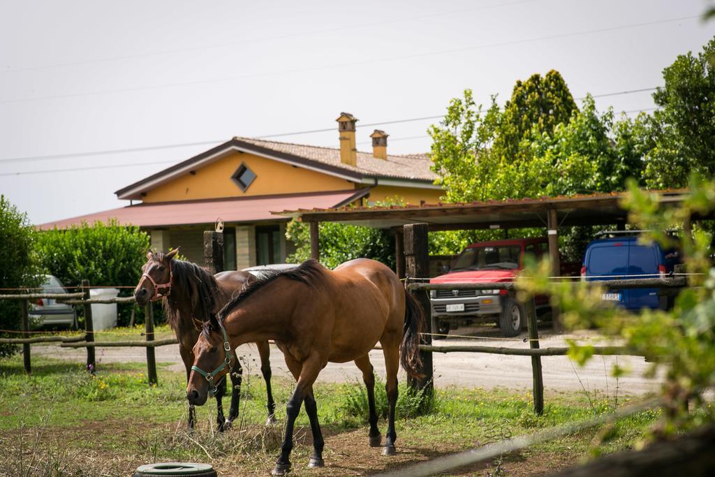 Agriturismo L.B.Stud Bracciano  Zewnętrze zdjęcie